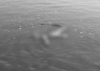 सुनकोशीमा बेपत्ता भएका प्रेम बहादुर भुजेलको शव पाँच दिनपछि फेला