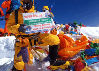 सगरमाथाको शिखरमा चौथो पटक वाङ्डा शेर्पाको सफल आरोहण