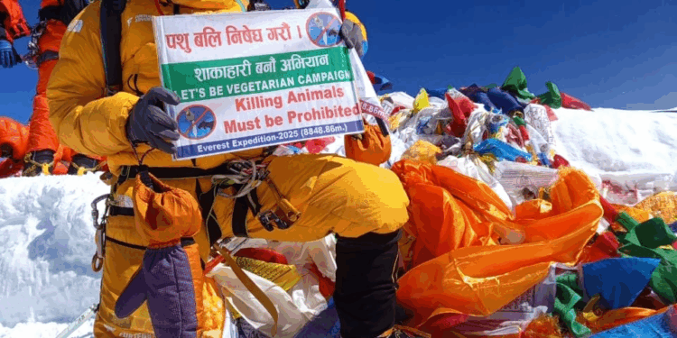 सगरमाथाको शिखरमा चौथो पटक वाङ्डा शेर्पाको सफल आरोहण