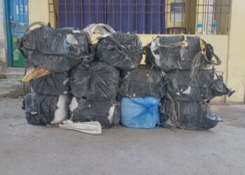 नेचासल्यानका राईसहित ६ जना लागुऔषधसहित पक्राउ