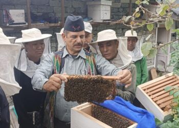 खरिखोलामा मह प्रशोधन तथा कृत्रिम रानो उत्पादन तालिम सुरु