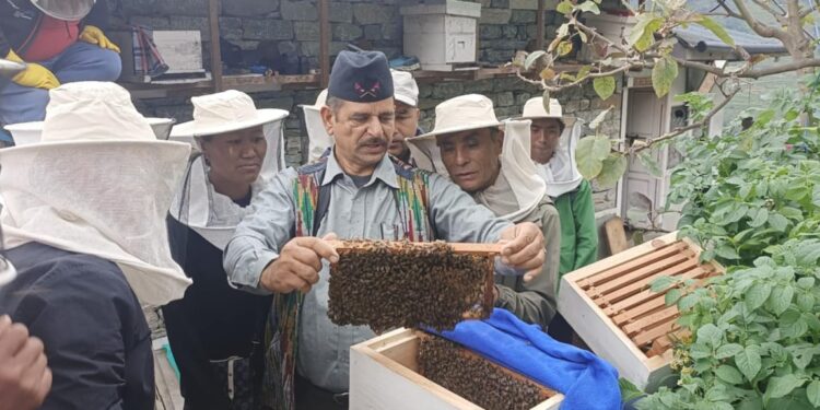 खरिखोलामा मह प्रशोधन तथा कृत्रिम रानो उत्पादन तालिम सुरु