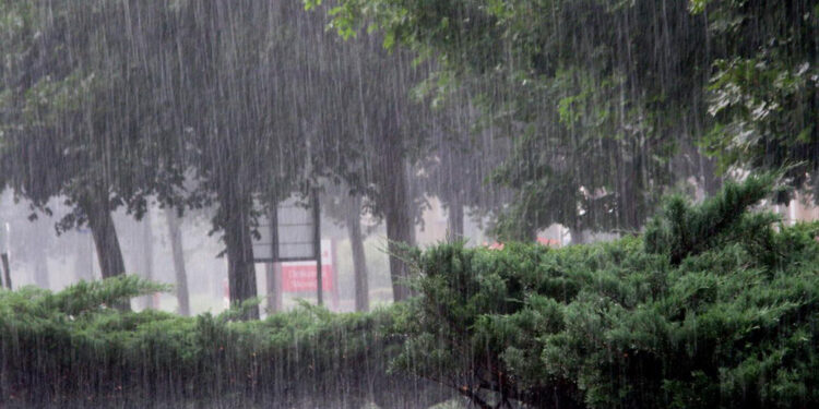 कोशी प्रदेशमा मनसुनको प्रभाव, अन्य प्रदेशको मौसम कस्तो रहला