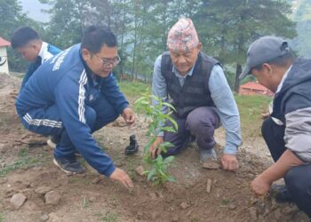 साकेला थान सल्लेरीमा किरात राई कर्मचारी मञ्च सोलुखुम्बुद्वारा साकुरा वृक्षारोपण