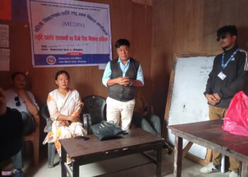 नेचासल्यानमा व्युटी पार्लर सम्बन्धी २० दिने सिप विकास तालिम सुरु