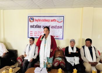 लिखुपिकेको सार्वजनिक सुनुवाई : ५५ प्रतिशत आर्थिक प्रगति