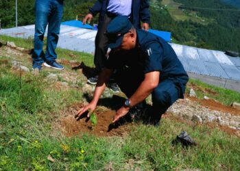 जिल्ला प्रहरी कार्यालय सोलुखुम्बु परिसरमा वृक्षारोपण : वातावरण संरक्षणमा सहकार्यको उदाहरण