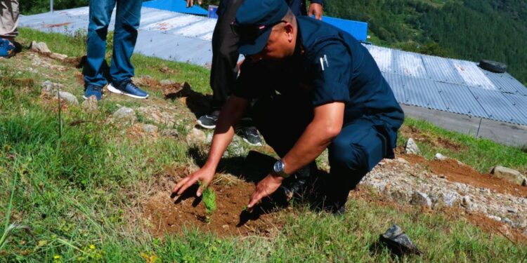 जिल्ला प्रहरी कार्यालय सोलुखुम्बु परिसरमा वृक्षारोपण : वातावरण संरक्षणमा सहकार्यको उदाहरण
