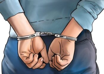 सुनको सिक्री चोरी गरेको आरोपमा उदयपुरका एक किशोर पक्राउ