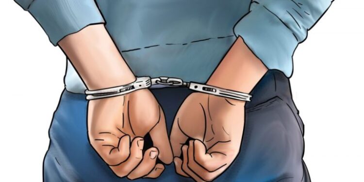 सुनको सिक्री चोरी गरेको आरोपमा उदयपुरका एक किशोर पक्राउ