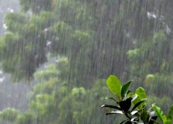 देशका केही ठाउँमा हल्कादेखि मध्यम वर्षा