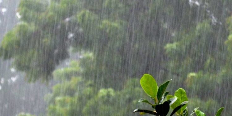 देशका केही ठाउँमा हल्कादेखि मध्यम वर्षा