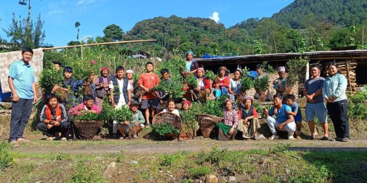 द पार्टनर्स नेपाल र चाम्लाङ सिर्जनशील युवा समाजले गर्यो महाकुलुङको सुम्बु देथोनाम क्षेत्रमा फलफुल विस्तार कार्यक्रम