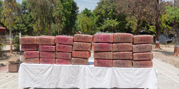 उदयपुरमा ४ सय ३६ किलो गाँजा सहित एक जना पक्राउ