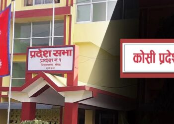 कोशी प्रदेशको ७७ प्रतिशत बजेट खर्च, पुँजीगत खर्चमा सुधार देखियो