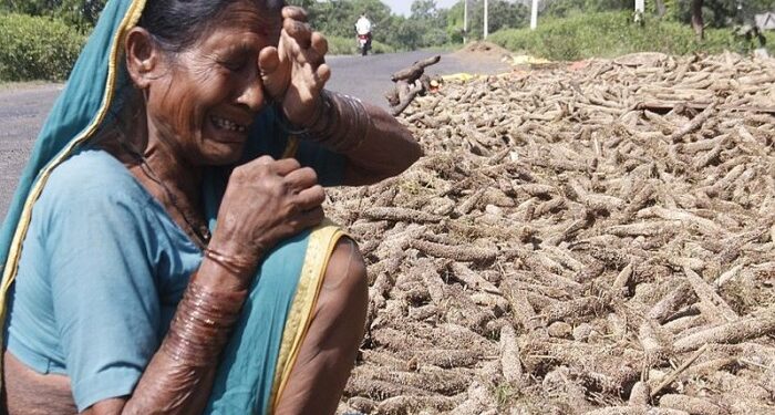 मनसुन प्रतिकूल : धान उत्पादन घट्ने चिन्ता