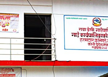    रावा बेसीले इटहरी र काठमाण्डौमा एकीकृत सेवा शिविर लाँदै, आधारभूत प्रशासनिक सेवा लिन पालिकावासीलाई आह्वान 