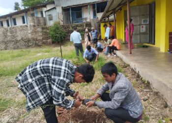 सामाजिक सहकार्यमा हरियालीको बीउः अरुण गाउँपालिका – ७ मा वृक्षरोपण अभियान