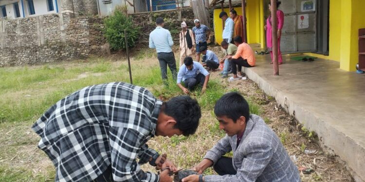 सामाजिक सहकार्यमा हरियालीको बीउः अरुण गाउँपालिका – ७ मा वृक्षरोपण अभियान