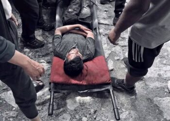 सोलुखुम्बुमा टिम्बुर टिप्न गएका युवकमाथि भालुको आक्रमण