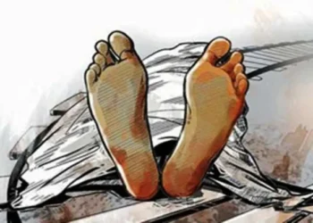 सिन्धुलीमा रुख ढलेर लाग्दा दुई जनाको मृत्यु, तीन जना घाइते