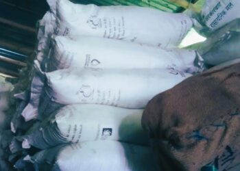 कटारीमा व्यापारीको गोदामबाट २ सय बोरा अनुदानको मल बरामद