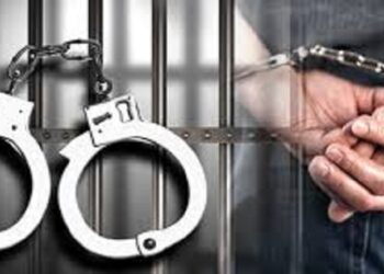 सिन्धुलीमा लागुऔषधसम्बन्धी अपराध बढ्दो, प्रहरीको कडा निगरानी र कारबाही