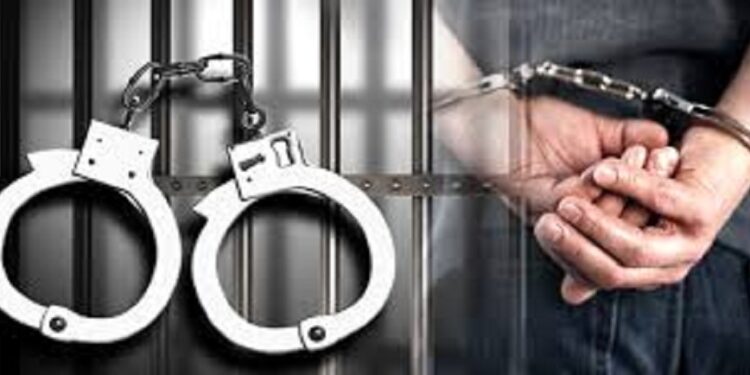 सिन्धुलीमा लागुऔषधसम्बन्धी अपराध बढ्दो, प्रहरीको कडा निगरानी र कारबाही