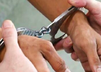 उदयपुरबाट लागुऔषध गाँजा सहित एक युवक पक्राउ