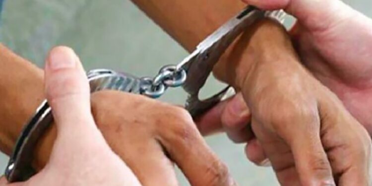 उदयपुरबाट लागुऔषध गाँजा सहित एक युवक पक्राउ