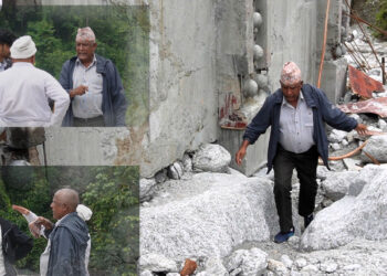  समन्वय प्रमुख निरौलाबाट क्षतिग्रस्त पुलको अनुगमन 