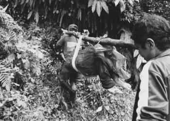 सोलुखुम्बुमा खोलाले बगाउँदा ६५ वर्षीया वृद्धाको ज्यान गयो