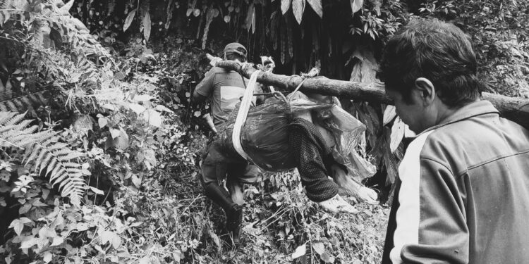 सोलुखुम्बुमा खोलाले बगाउँदा ६५ वर्षीया वृद्धाको ज्यान गयो