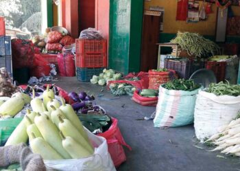 तत्काल अत्यावश्यक वस्तुको अभाव नहुने