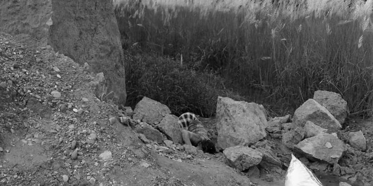 उदयपुरमा माटो खन्ने क्रममा ढिस्कोले पुरिएर एक महिलाको मृत्यु