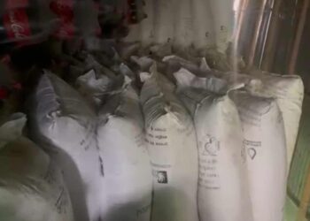 उदयपुरमा अनुदानको मल कालोबजार गर्न खोजेका व्यवसायी पक्राउ