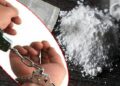 उदयपुर सहित चार जिल्लाबाट लागू औषध सहित ११ जना पक्राउ
