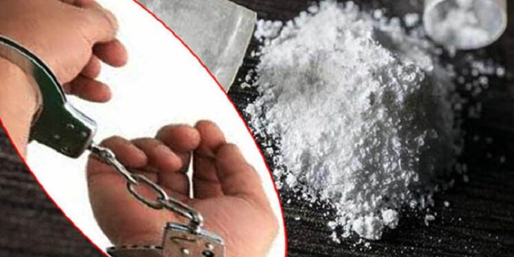 उदयपुर सहित चार जिल्लाबाट लागू औषध सहित ११ जना पक्राउ
