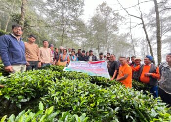 भकान्जेमा सकियो एक दिने चिया सम्बन्धी प्रयोगात्मक तालिम