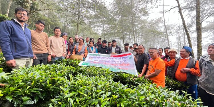 भकान्जेमा सकियो एक दिने चिया सम्बन्धी प्रयोगात्मक तालिम