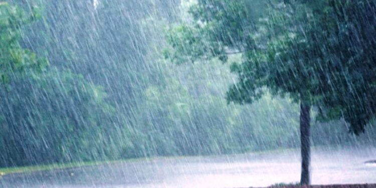 कोशी सहित ३ प्रदेशका केही ठाउँमा ठुलो पानी पर्ने, यस्तो छ मौसम