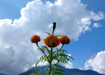 शनिबार देशभरि मौसम मुख्यतया सफा, कोशीका पहाडी भूभागमा हल्का वर्षाको सम्भावना