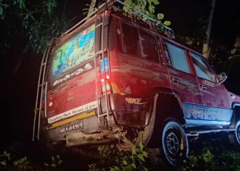 नेचातर्फ जाँदै गरेको सुमो सोलुदुधकुण्डमा दुर्घटना