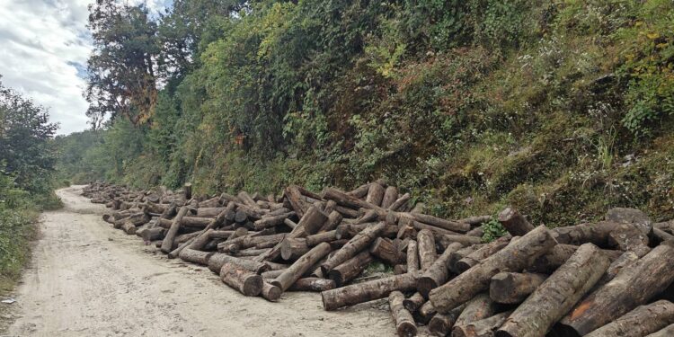 थुलुङ दुधकोशीमा सडकमा काठ राखिँदा सवारीसाधन आवागमनमा प्रत्यक्ष असर, तीन दिनभित्र हटाउन निर्देशन