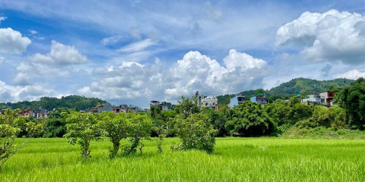 आज देशभर मौसम प्रायः सफा, कोशीका केही ठाउँमा हल्का वर्षा सम्भावना