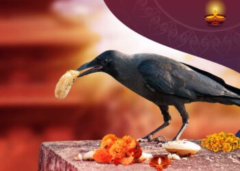 आज काग तिहार : यमपञ्चकको दोस्रो दिन कागलाई मीठा परिकार अर्पण गरिदै