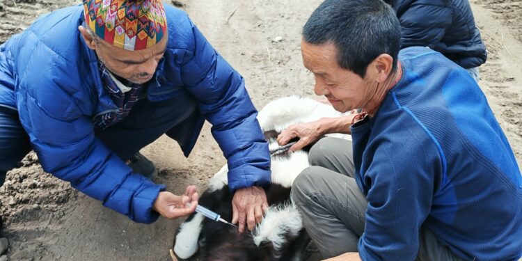 सोलुखुम्बुका आठवटै स्थानीय तहमा खोरेतमुक्त अभियान : निःशुल्क खोप कार्यक्रम सुरु