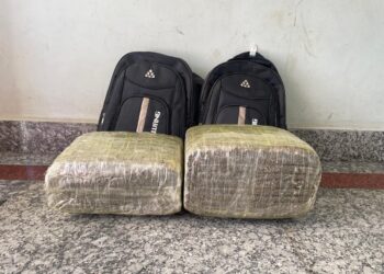 झापा र सुनसरीबाट लागू औषध सहित ४ जना पक्राउ