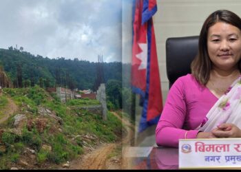 डिपिआर सच्याएर सुरु भयो हलेसीको नगर अस्पताल निर्माण