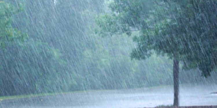 पश्चिमी वायूको प्रभाव कायमै, भोलि बदली र वर्षाको सम्भावना बढी